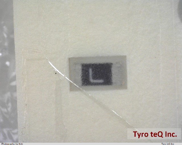 TF16SN1.00TTD