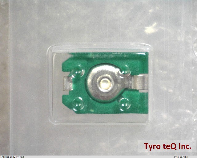 TZC3P300A110R00