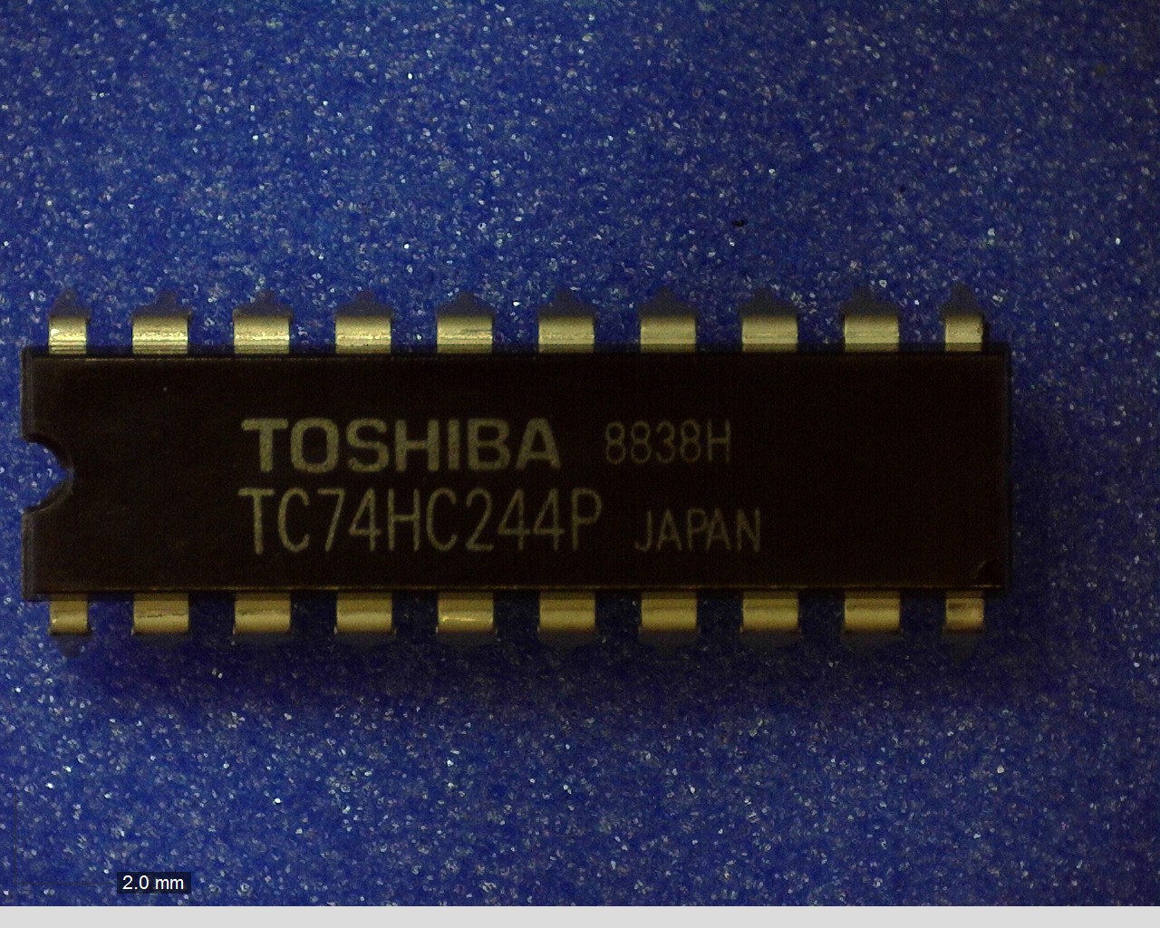 TC74HC244P