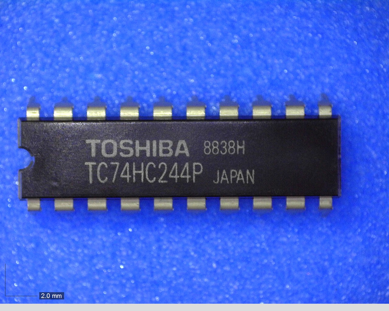 TC74HC244P