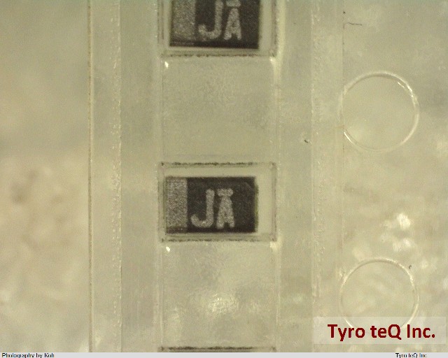 TEESVP0J106M8R