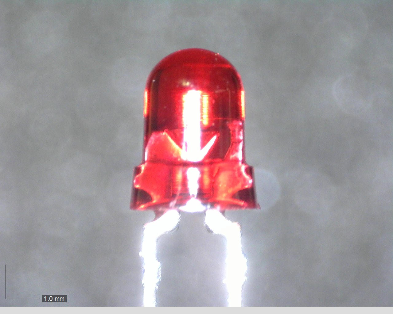 TLR123