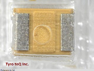 TAJB336K016RNJ