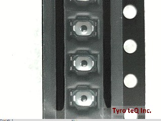 SKSVCAE010