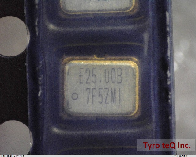 SG-310SCF-25.0000MB