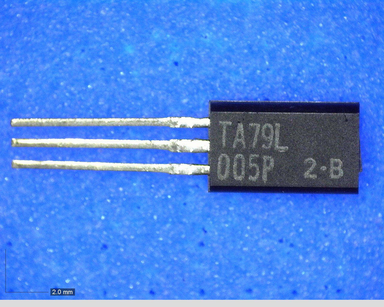 TA79L005P