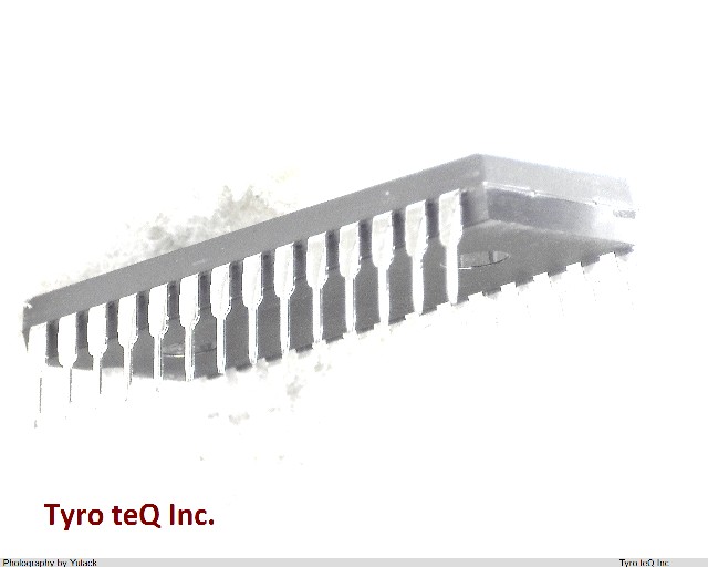 TC55257DPL-85L