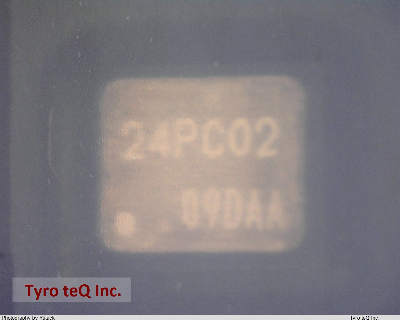 SG-8003BA 24.576000MHZ-PCB