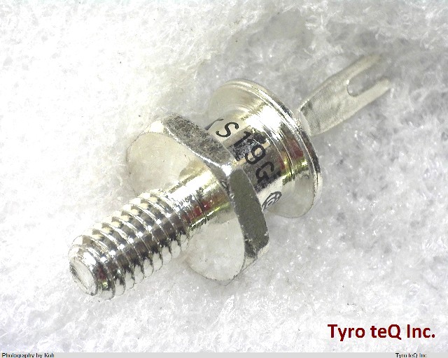 S19G