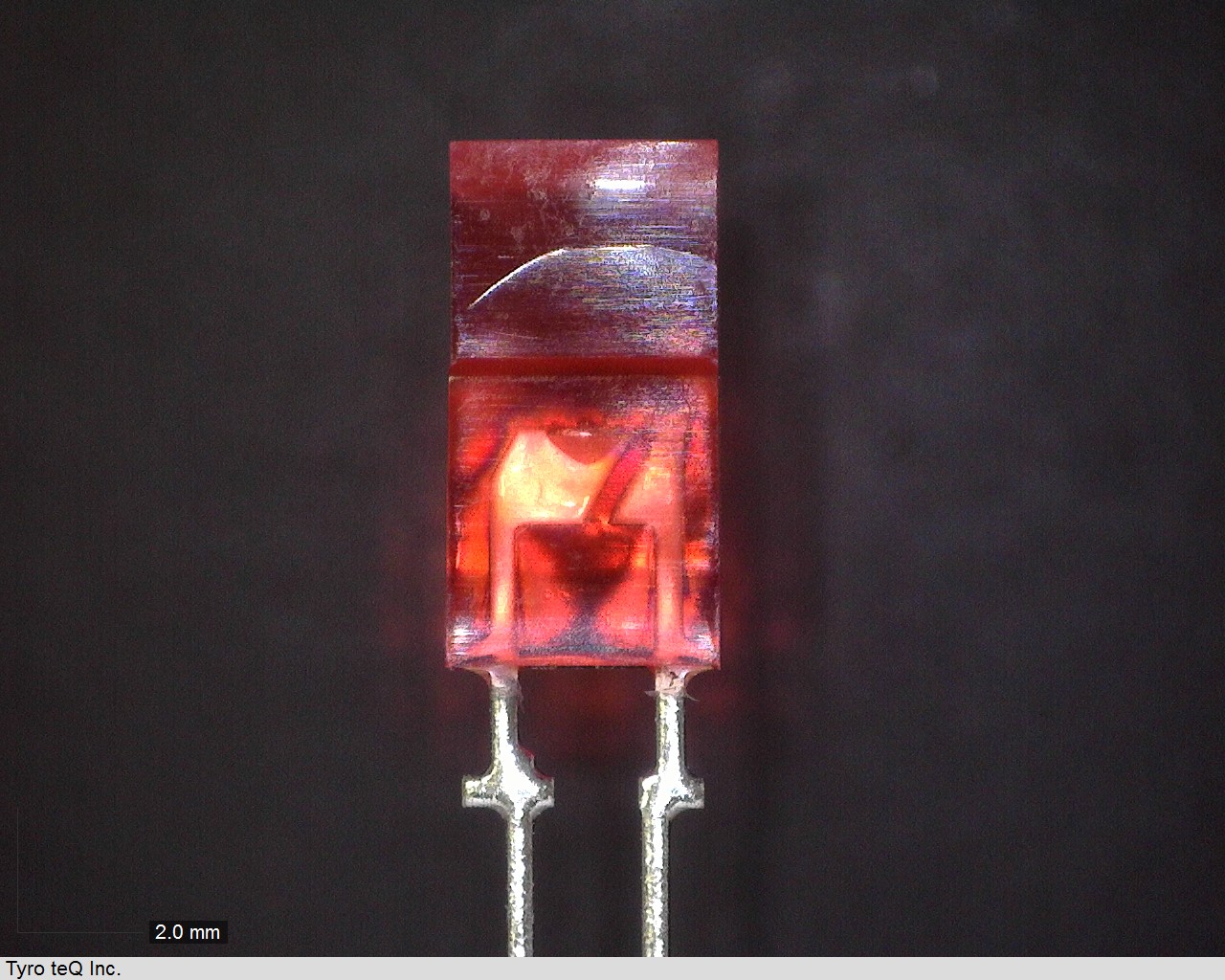 TLR208