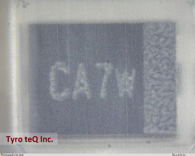 TMCMB1C106MTR