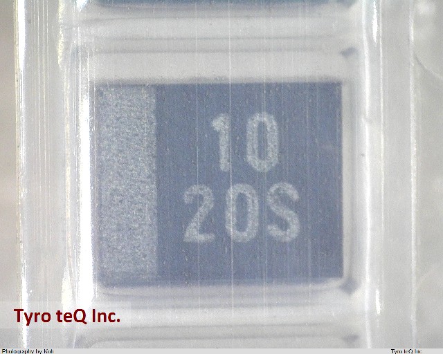 TEESVB21D106M8R