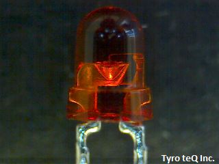TLO123
