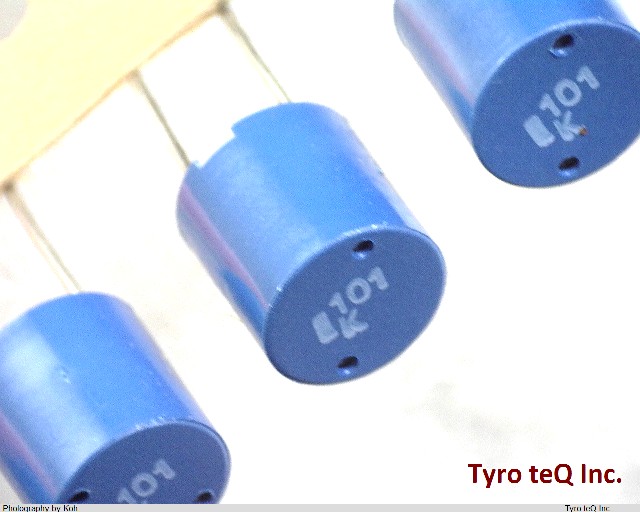 TSL0808S-101KR80-PF