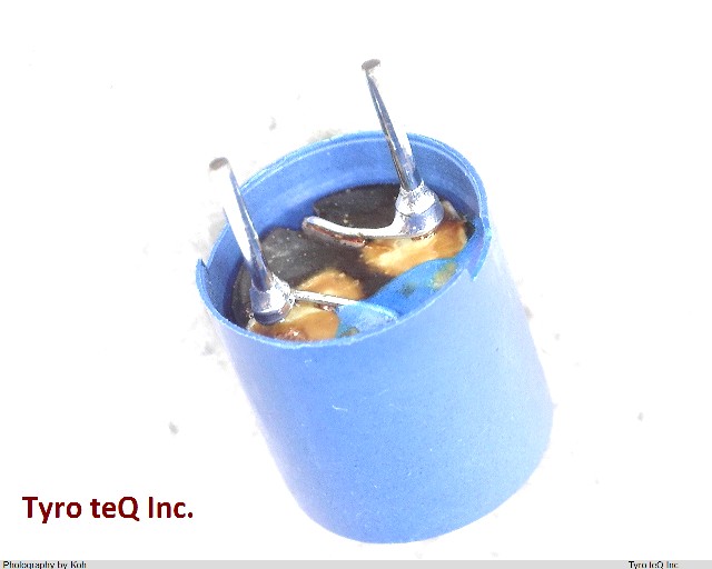 TSL0808S-101KR80