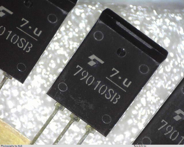 TA79010SB