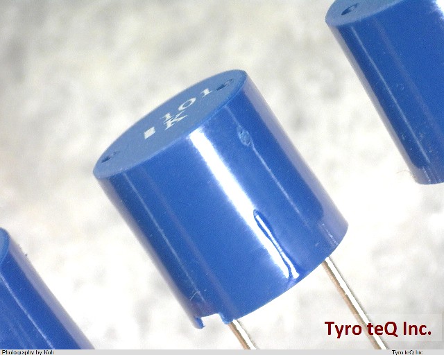 TSL0808RA-101KR80PF