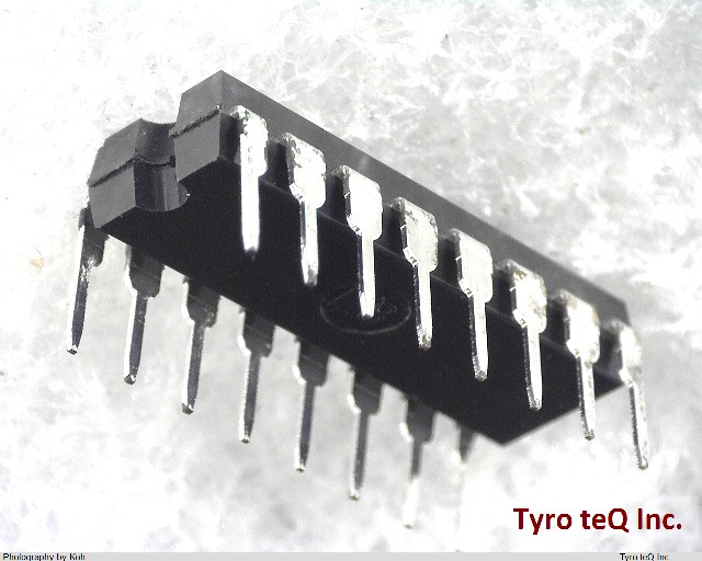 TD62304APG