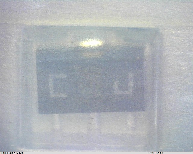 TA79L08F-TE12L