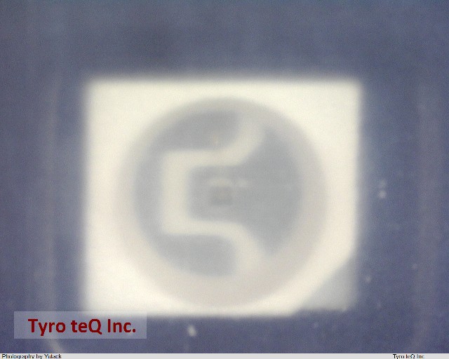 TLGE1100(T11)