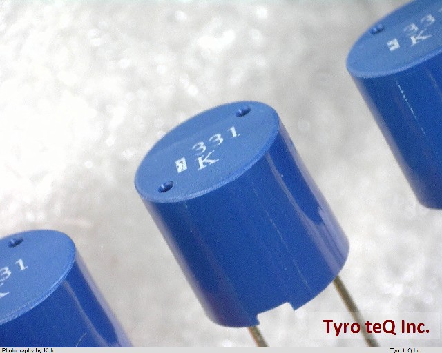 TSL0808RA-331KR45