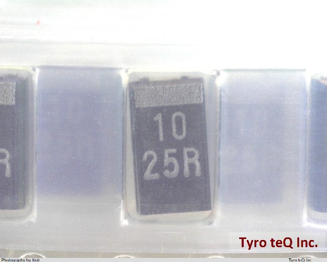 TEESVC1E106M12R