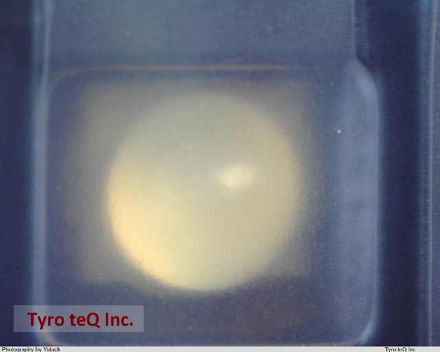 TLSH1102B(T10)