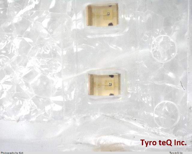 TLGU1002A