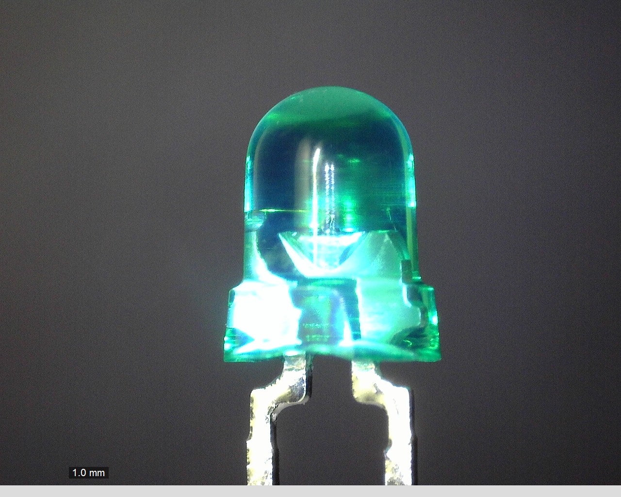 TLGU53C(F)