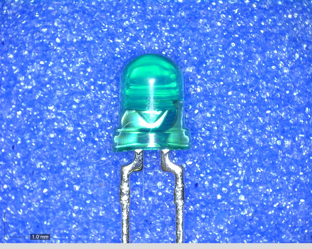TLGU53C(F)