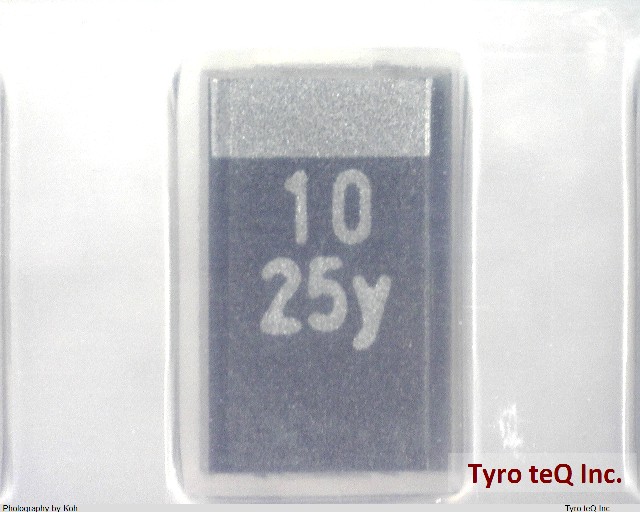 TEESVD1E106M12R