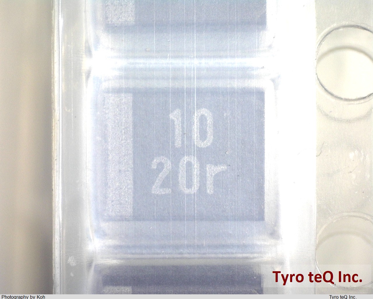 TEESVB21D106M8R