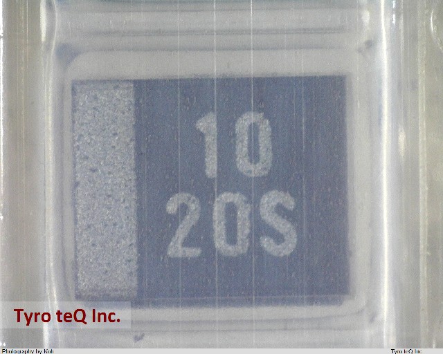 TEESVB21D106M8R