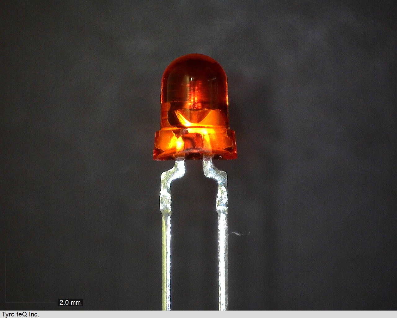 TLO123