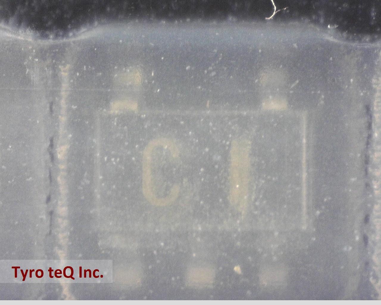 TC4S11F(F)