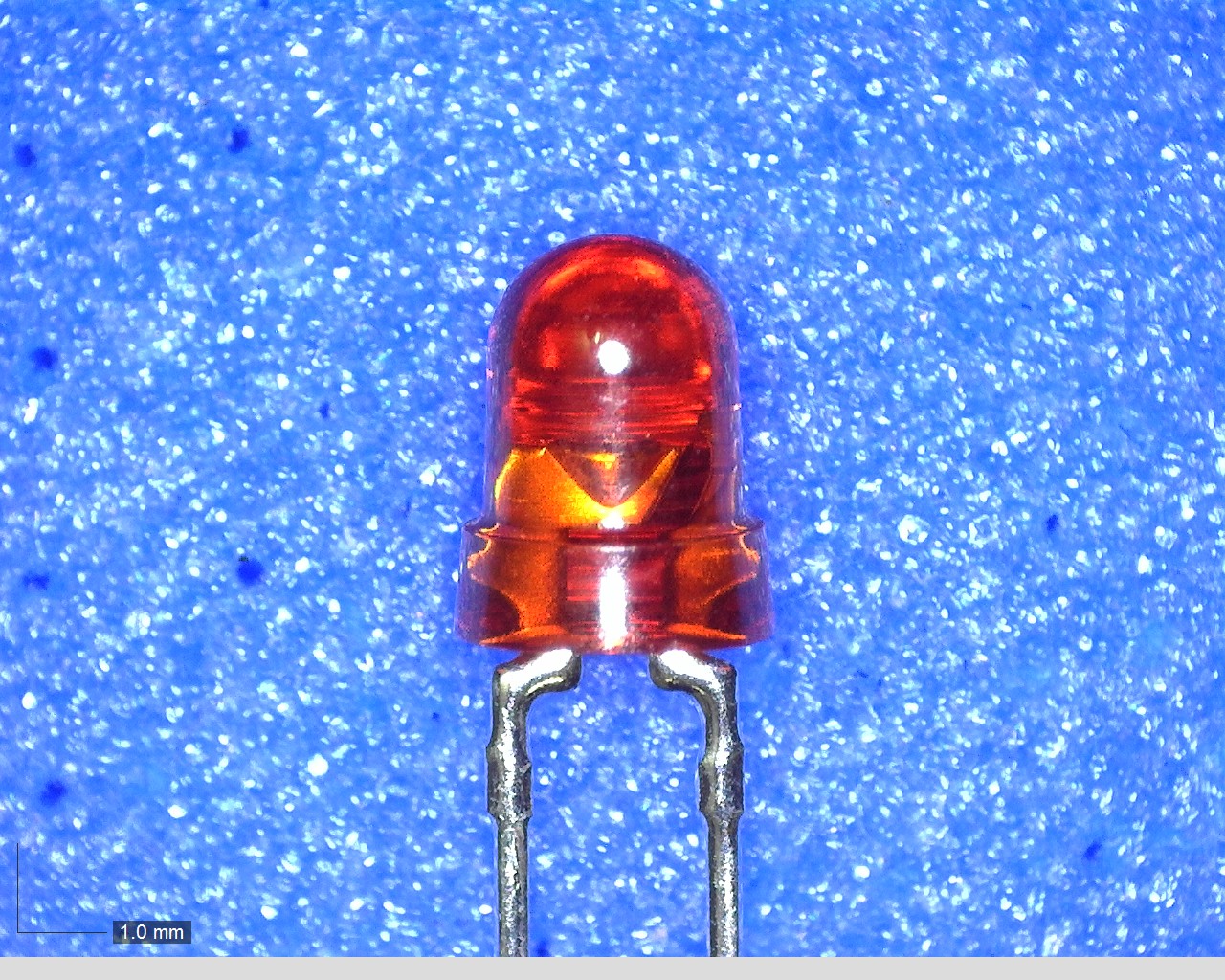 TLO123