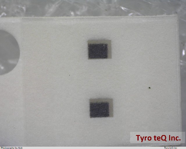 TCM0605G-900-2P-T201