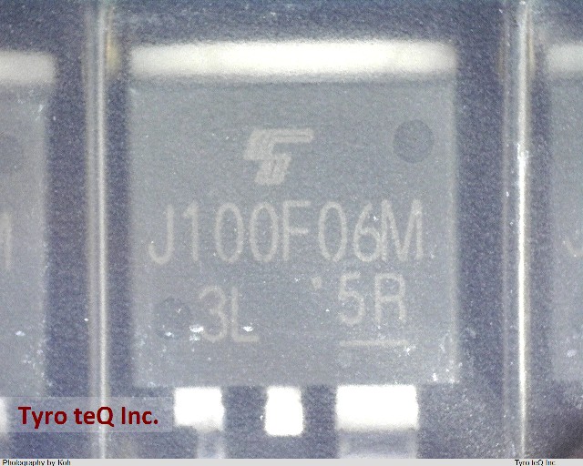 TJ100F06M3L