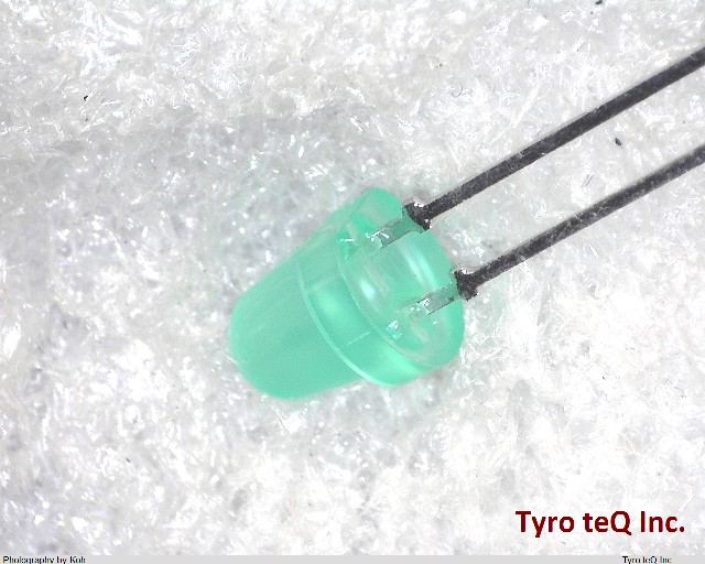 TLG144