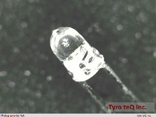 WP710A10CGCK
