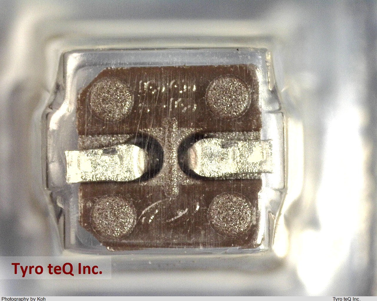 UWX1C100MCL2GB