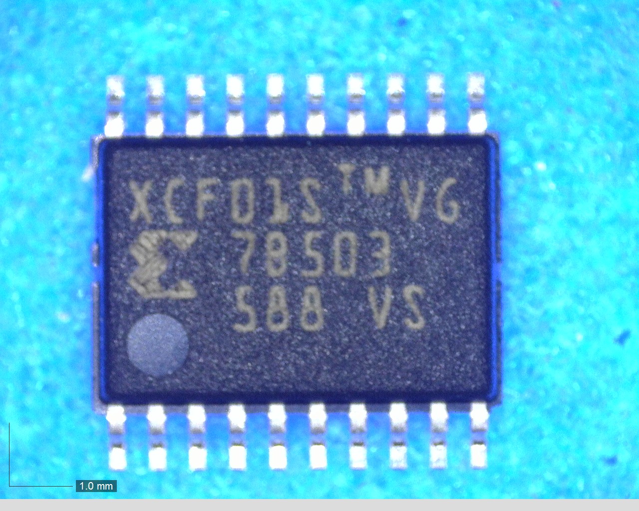 XCF01SVOG20C