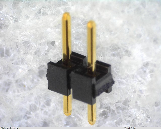 XG8S-2031