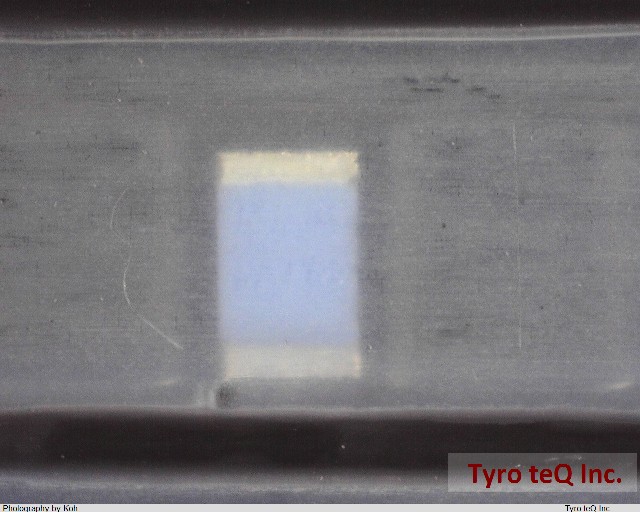 Y16246K80000T9R