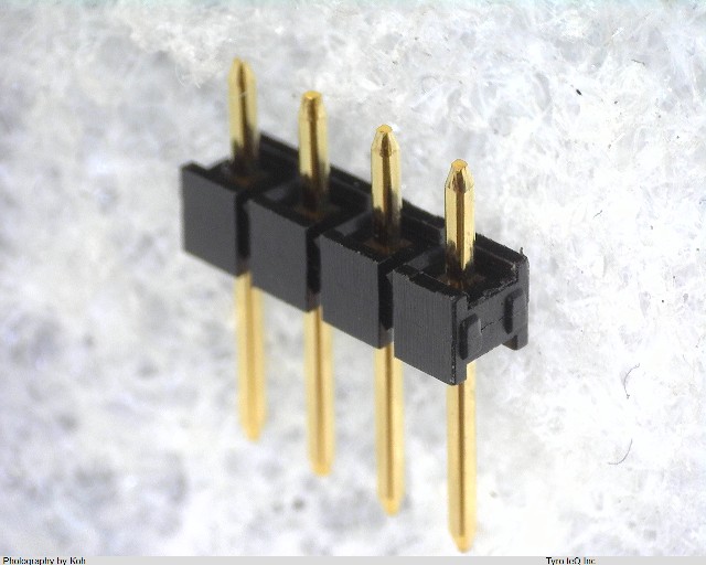 XG8V-0431