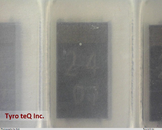 U1ZB24(TE12L)