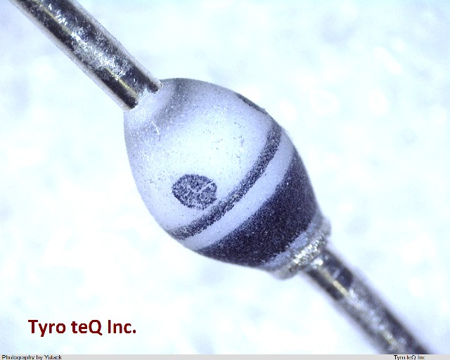 V17C