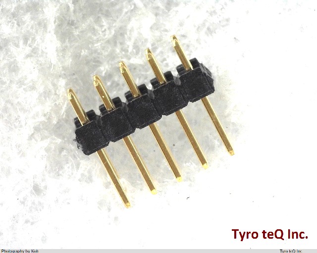 XG8W-1031