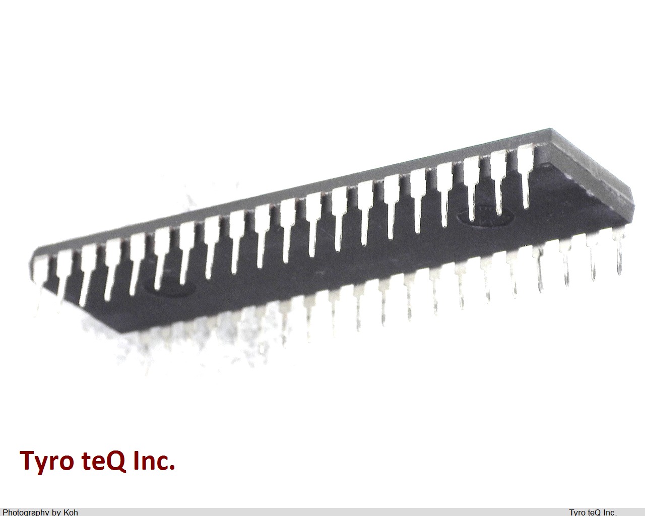 Z84C0008PEC