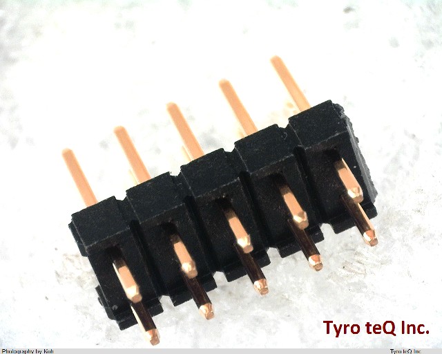 XG8W-1031